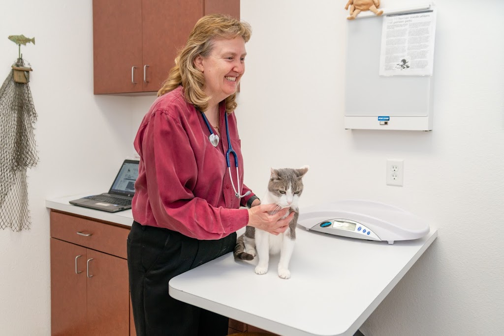 Cats Only Veterinary Hospital | 1220 Sunset Blvd, Rocklin, CA 95765, USA | Phone: (916) 435-9300