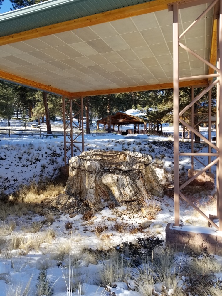 Florissant Fossil Beds National Monument Parking | 15807 Co Rd 1, Florissant, CO 80816, USA | Phone: (719) 748-3253