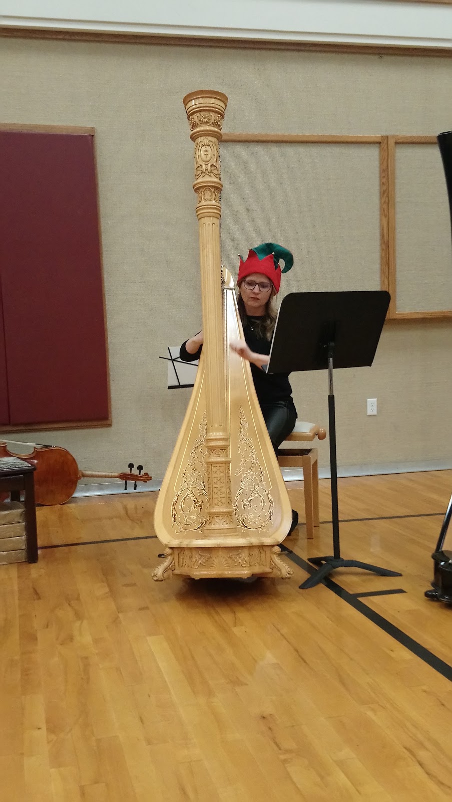 Dunford Harp | 431 S Burgundy Bay Way, Star, ID 83669, USA | Phone: (801) 541-0803