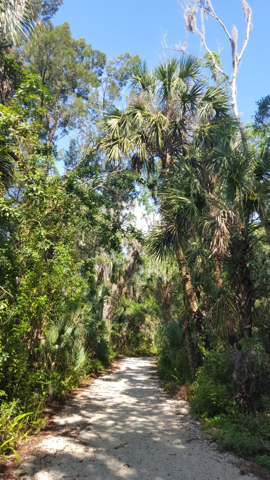 James E. Grey Preserve | 6938 Plathe Rd, New Port Richey, FL 34653, USA | Phone: (727) 841-4560