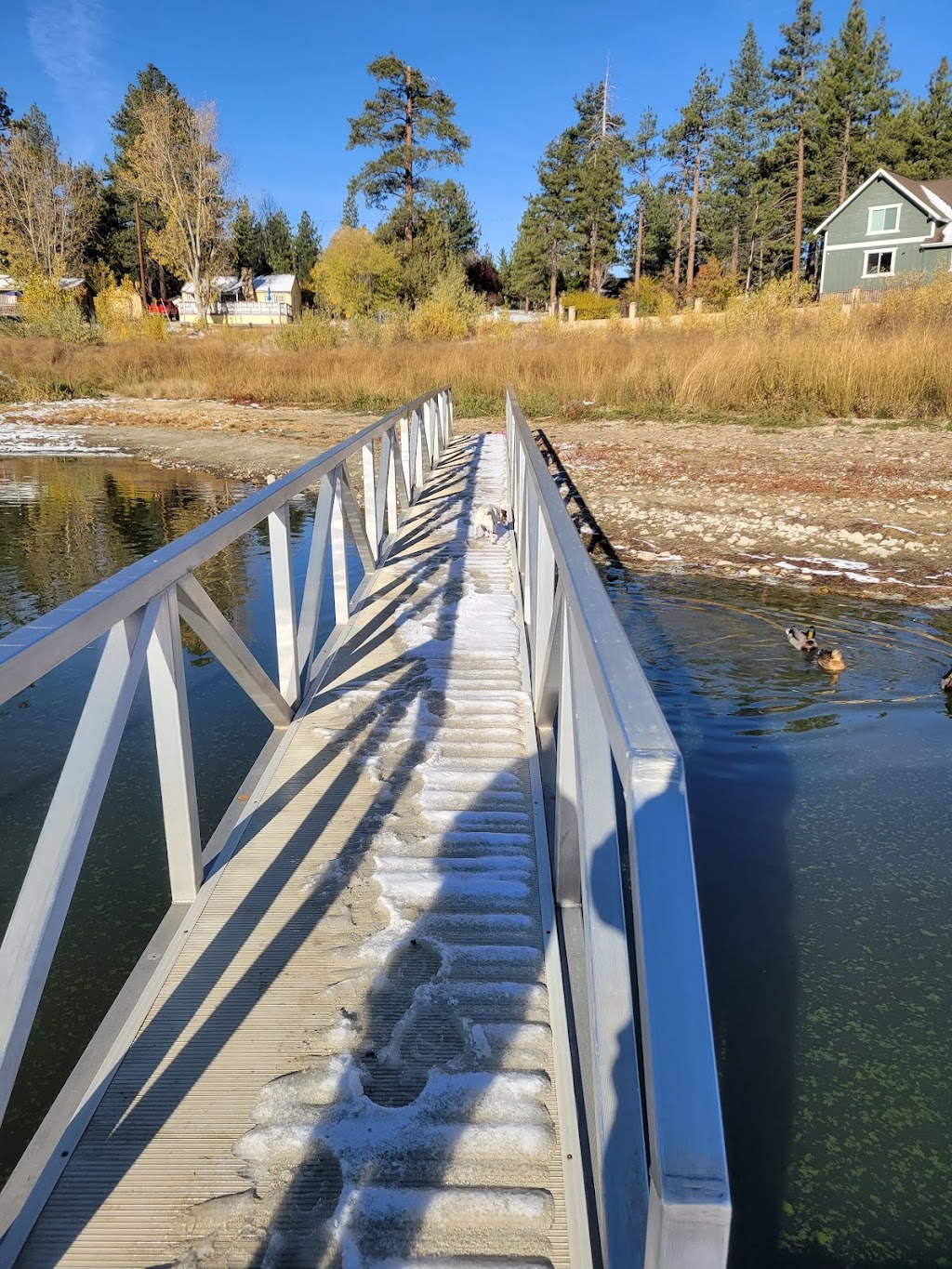 Shore Acres Lodge | 40090 Lakeview Dr, Big Bear Lake, CA 92315, USA | Phone: (877) 789-4140