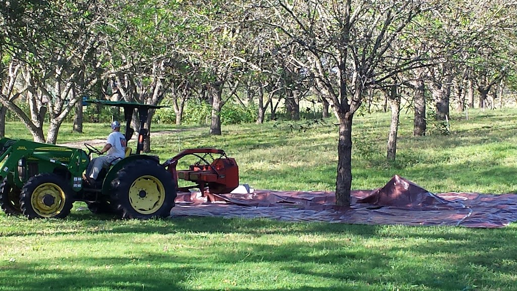 Yegua Creek Farms Pecan Orchard | 4600 Co Rd 467, Elgin, TX 78621, USA | Phone: (512) 856-0192