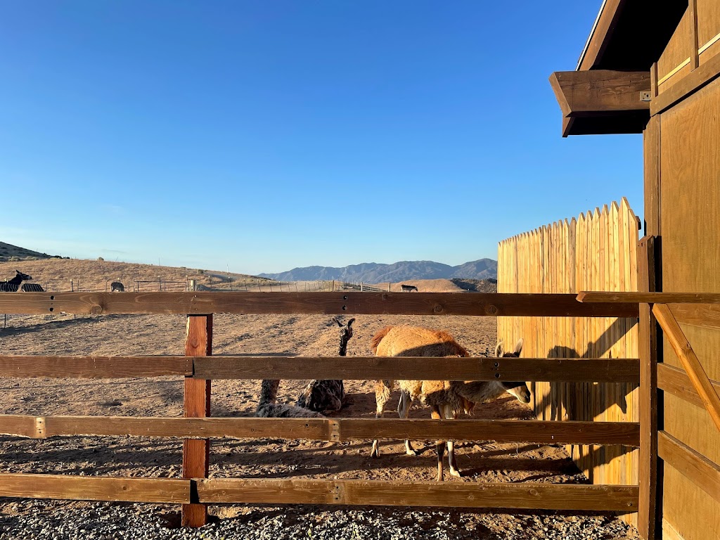 Lone Juniper Ranch | Lebec, CA 93243, USA | Phone: (231) 878-6528