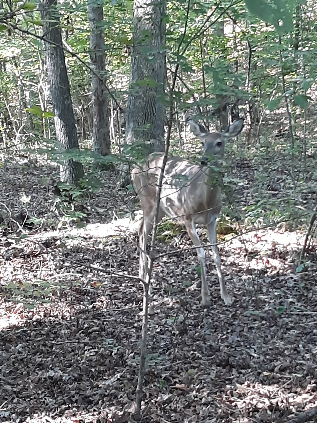 Piedmont Environmental Center | 1220 Penny Rd, High Point, NC 27265, USA | Phone: (336) 883-8531
