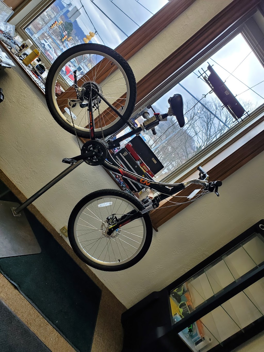 Gatto Cycle Shop | 117 E 7th Ave, Tarentum, PA 15084, USA | Phone: (724) 224-0500