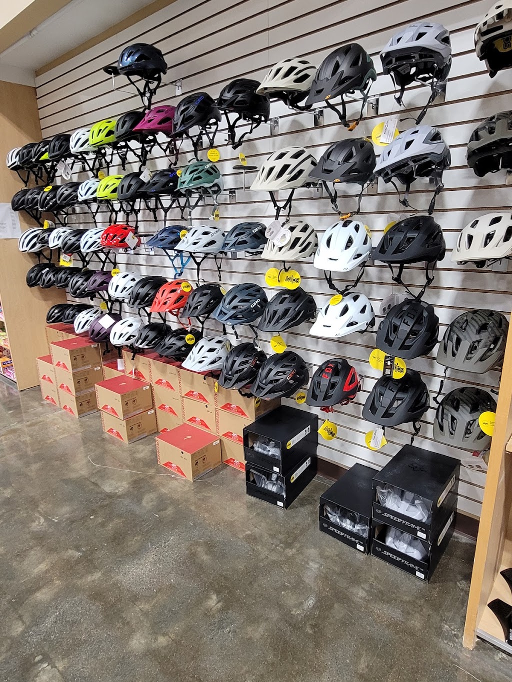 Buchikas Bike | 166 Daniel Webster Hwy Suite 5, Nashua, NH 03060, USA | Phone: (603) 324-1620