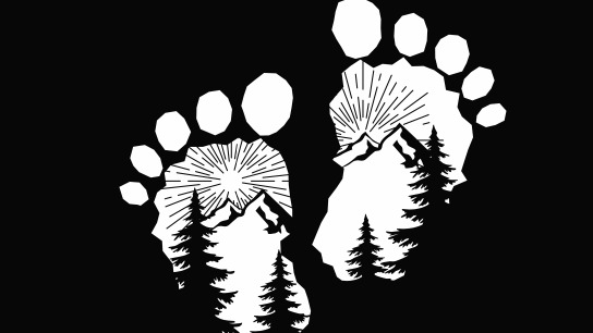 Little Feet Forest School | 7179 Ponderosa Ct, Evergreen, CO 80439, USA | Phone: (303) 358-8200