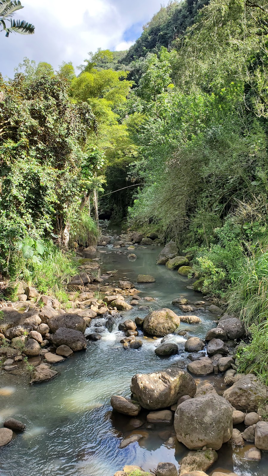 Waimea Botanical Garden | 59-864 Kamehameha Hwy, Haleiwa, HI 96712, USA | Phone: (808) 638-7766