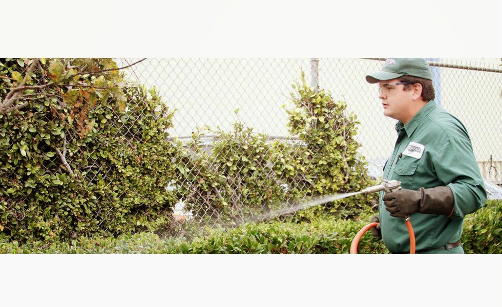 Performance Pest Management | 3958 Valley Ave Suite D, Pleasanton, CA 94566, USA | Phone: (925) 484-3400