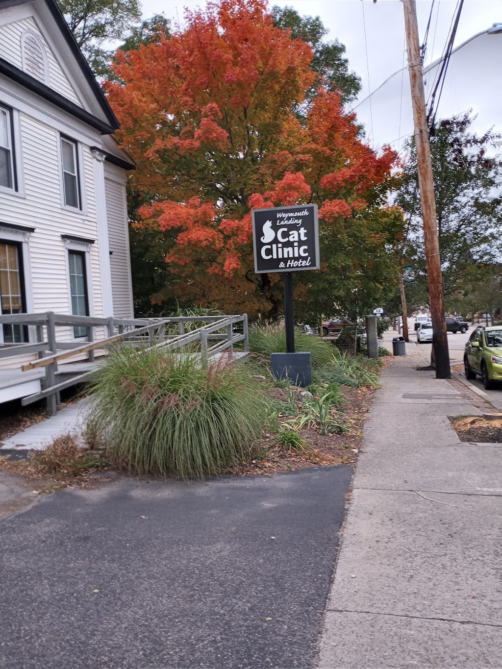 Weymouth Landing Cat Clinic & Hotel | 127 Washington St, Weymouth, MA 02188, USA | Phone: (781) 337-0400