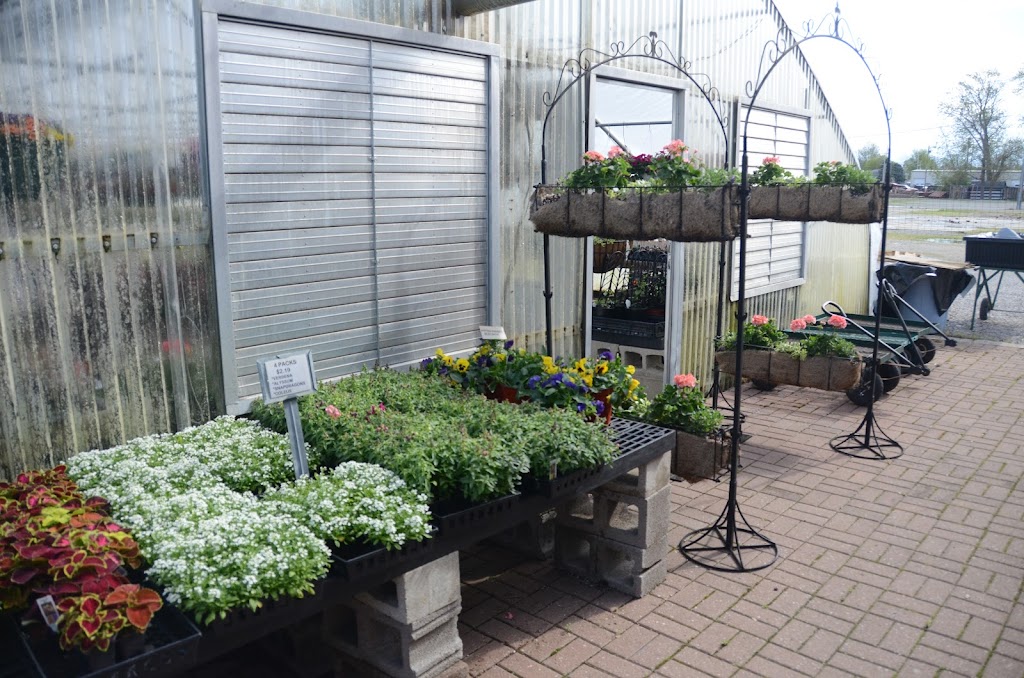 Kahls Greenhouse | 520 W Main St, Carlinville, IL 62626, USA | Phone: (217) 854-8912