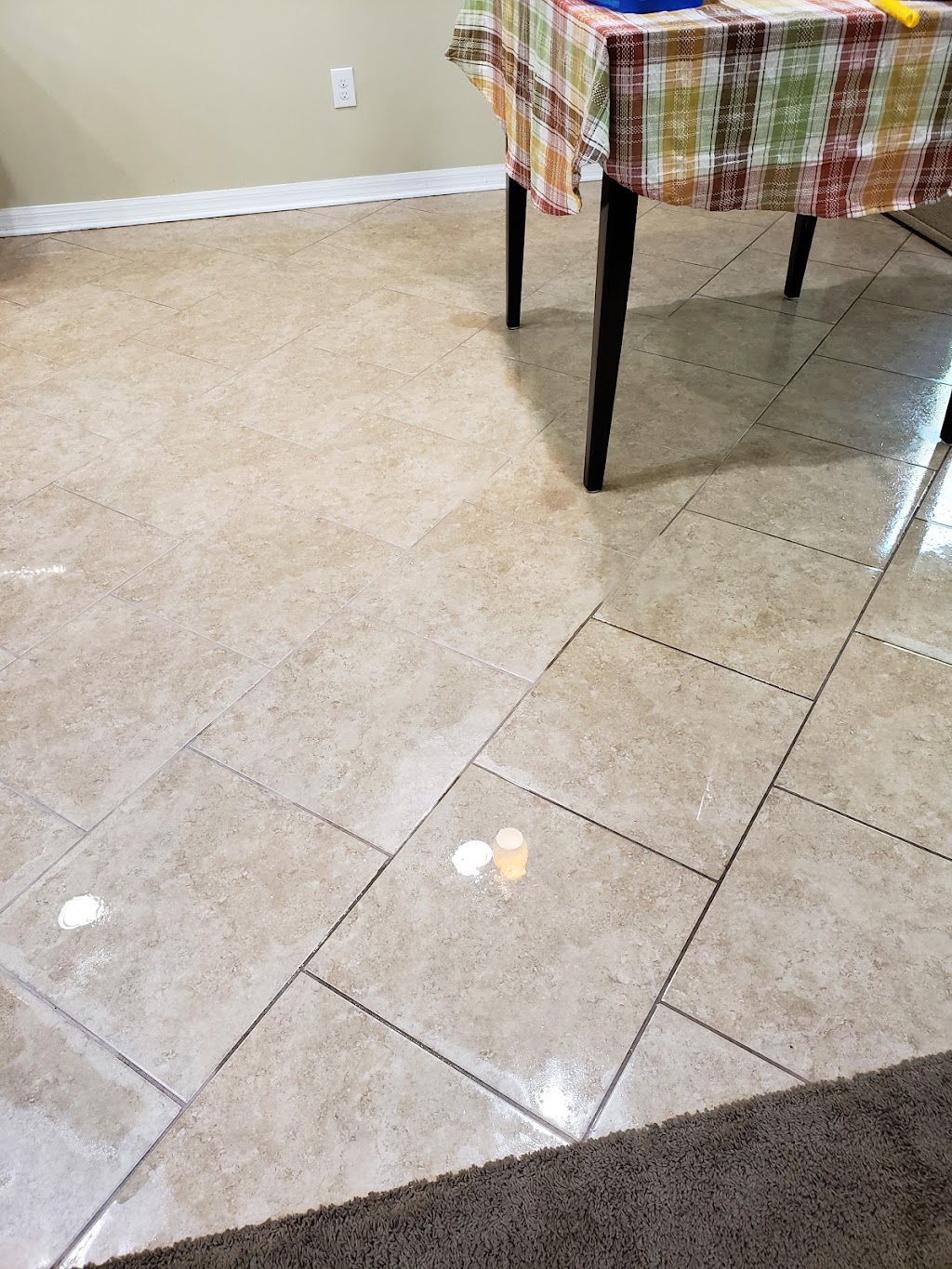 Zerorez Carpet Cleaning Tampa | 5817 N 56th St, Tampa, FL 33610 | Phone: (813) 375-9960