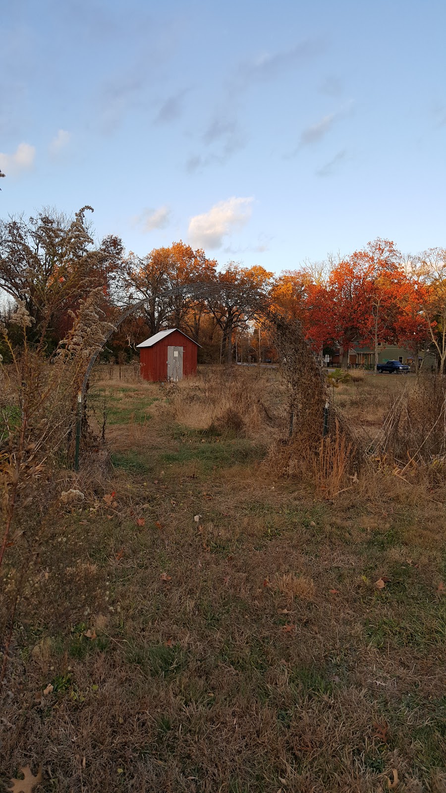 Eastridge Community Garden | 401 Estill St Y, Berea, KY 40403, USA | Phone: (859) 302-1463