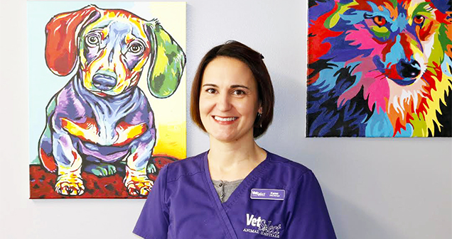 VetSelect Animal Hospital of Commerce Township | 1010 W Oakley Park Rd, Commerce Charter Twp, MI 48390, USA | Phone: (248) 926-9696