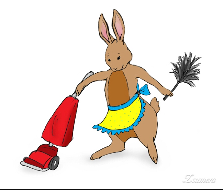 The DustBunnies Cleaning and Make Ready Services | 140 Co Rd 3829, San Antonio, TX 78253 | Phone: (210) 550-5554