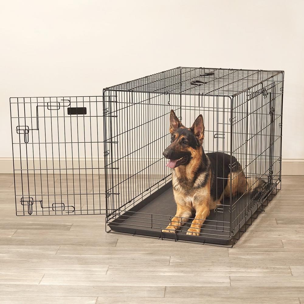 Qpets Inc. | 3412 De Forest Cir Unit 2, Jurupa Valley, CA 91752 | Phone: (909) 923-8743