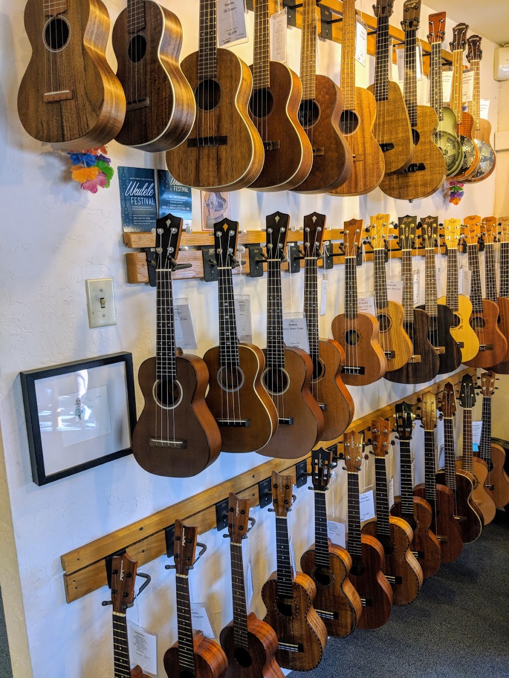 Gryphon Stringed Instruments | 211 Lambert Ave, Palo Alto, CA 94306, USA | Phone: (650) 493-2131