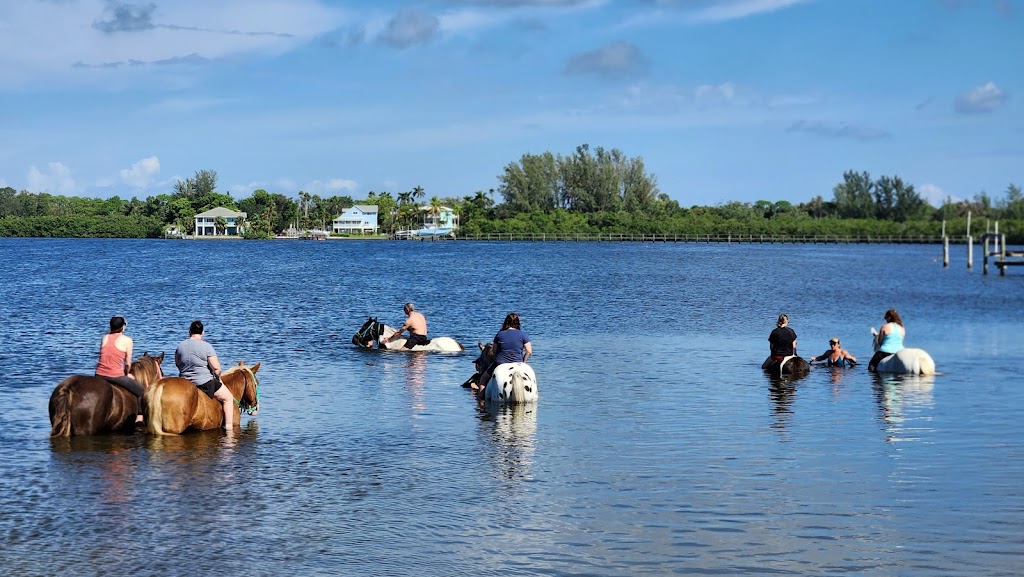 Florida Beach Horses | 8400 Manatee Ave W, Bradenton, FL 34209, USA | Phone: (941) 587-2553