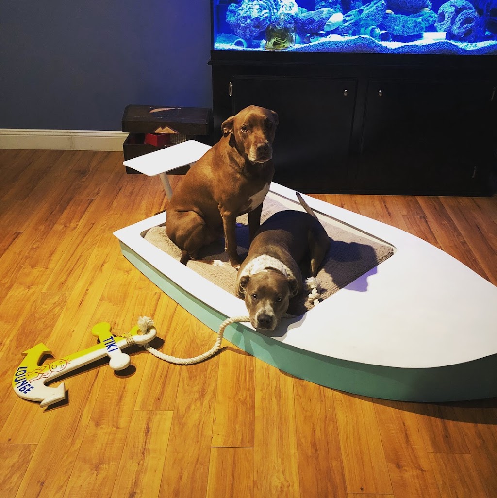 Nauti dog beds | 1020 E DeCarlo Dr, Deltona, FL 32725, USA | Phone: (386) 747-8883