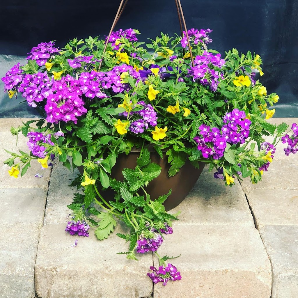 Beesons Nursery | 1300 Half Day Rd, Deerfield, IL 60015, USA | Phone: (847) 945-0520