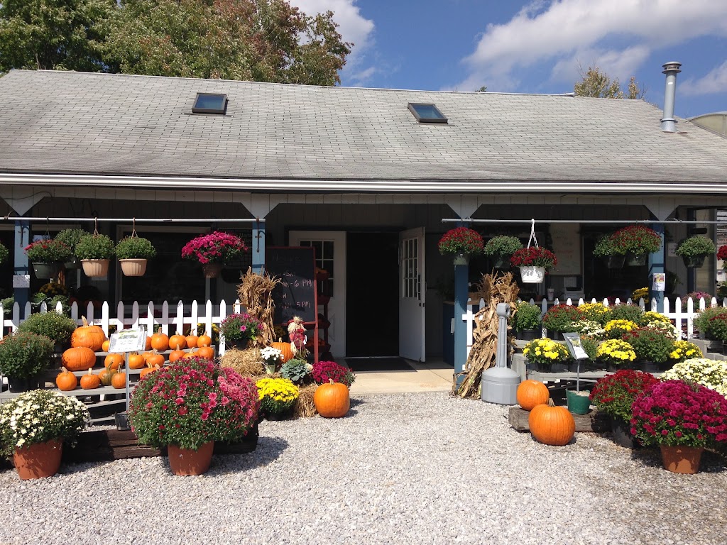 Country Meadows Garden Center | 11148 Chardon Rd, Chardon, OH 44024, USA | Phone: (440) 285-0955