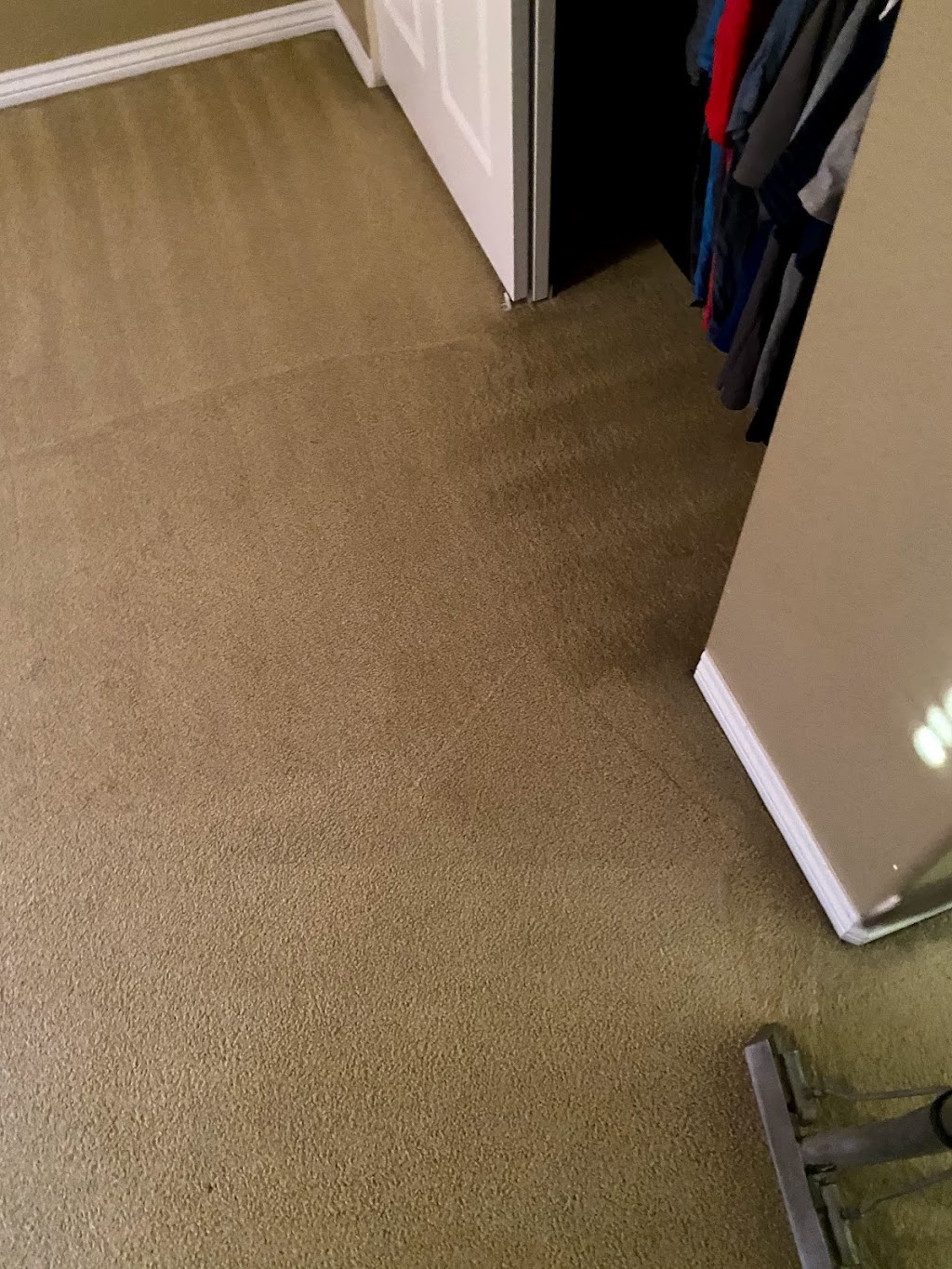 Steam Team Carpet Cleaning llc | 4724 Carmichael Ct, Brighton, CO 80603, USA | Phone: (720) 472-2863