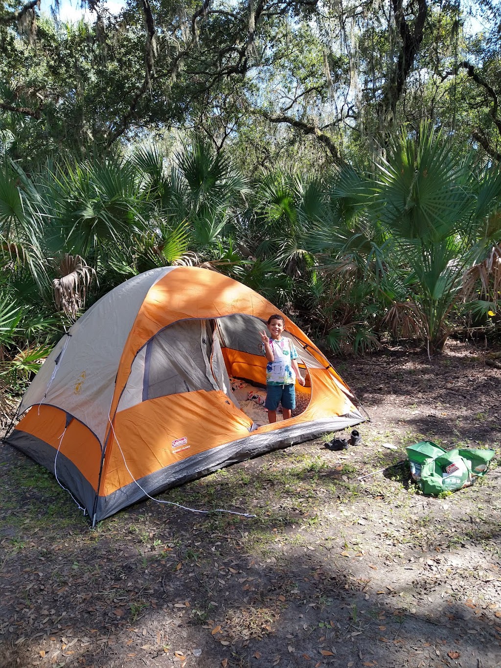 Myakka River State Park Big Flats Campground | Myakka State Park Rd, Sarasota, FL 34240, USA | Phone: (941) 361-6511