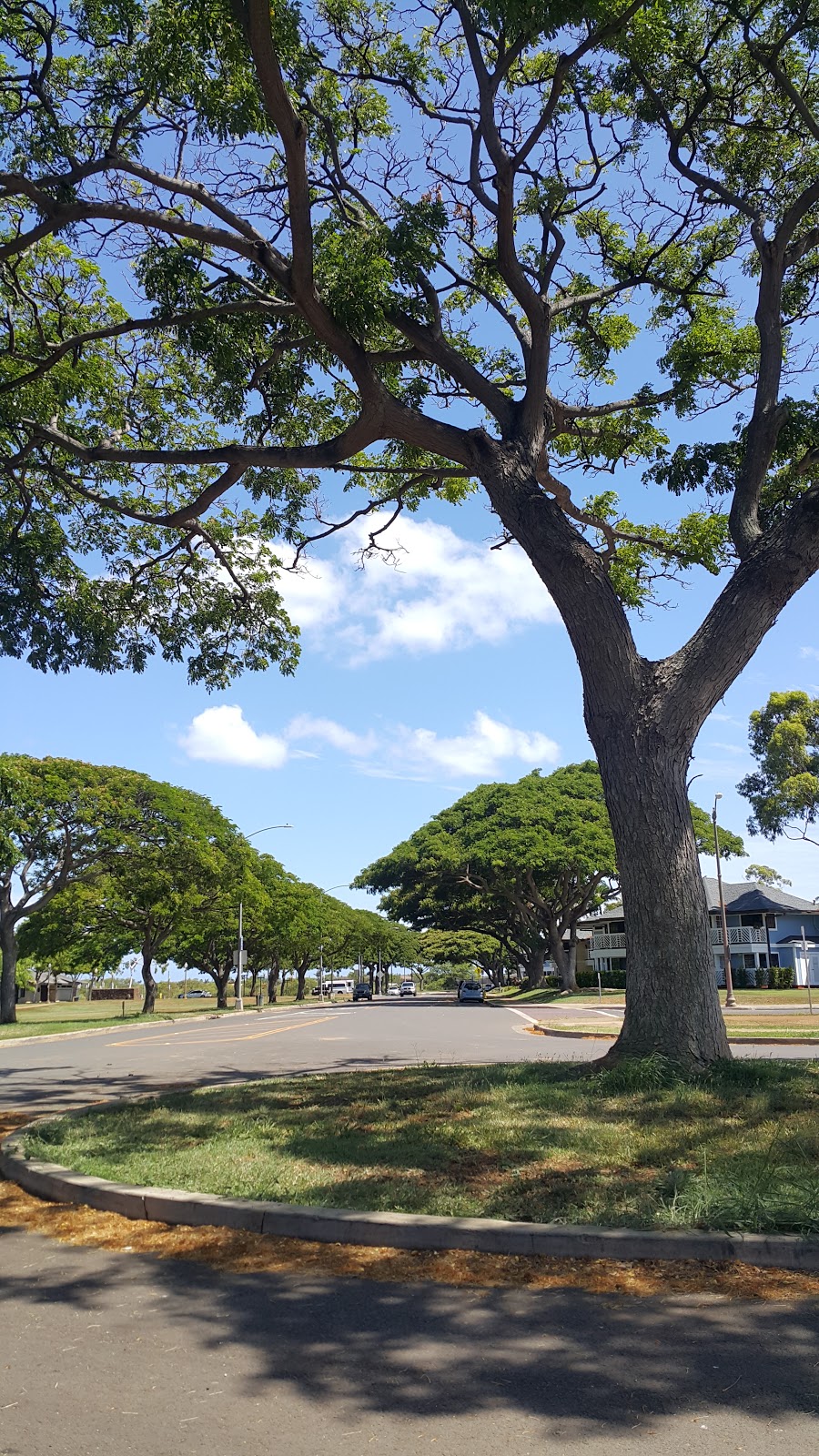 Asing Community Park | 91-1450 Renton Rd, Ewa Beach, HI 96706, USA | Phone: (808) 768-6769