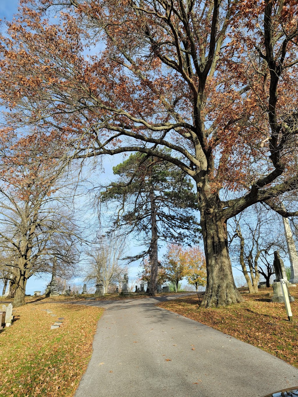 Battle Grove Cemetery | 531 E Pike St, Cynthiana, KY 41031, USA | Phone: (859) 234-5323