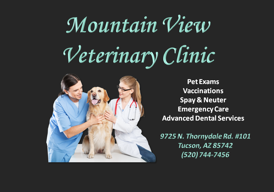 Mountain View Veterinary Clinic | 9725 N Thornydale Rd Suite 101, Tucson, AZ 85742, USA | Phone: (520) 744-7456
