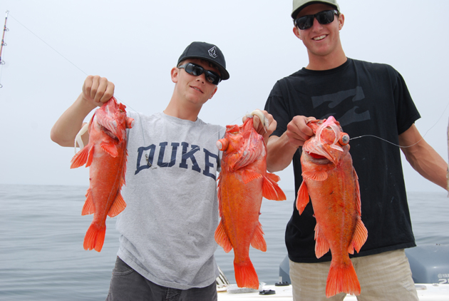 AllWater Fishing Charters, Catalina Island | 25051 Calle Playa c, Laguna Niguel, CA 90704 | Phone: (310) 955-4201