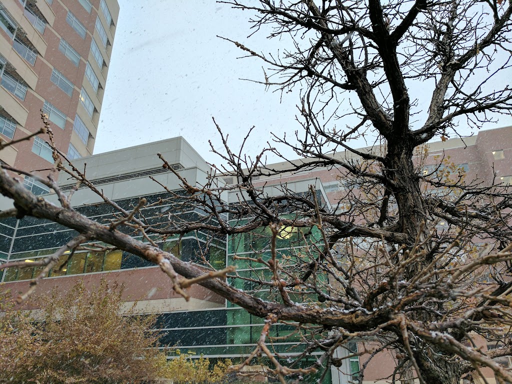 UCHealth Anschutz Inpatient Pavilion - Anschutz Medical Campus | 12605 E 16th Ave, Aurora, CO 80045, USA | Phone: (720) 848-0000