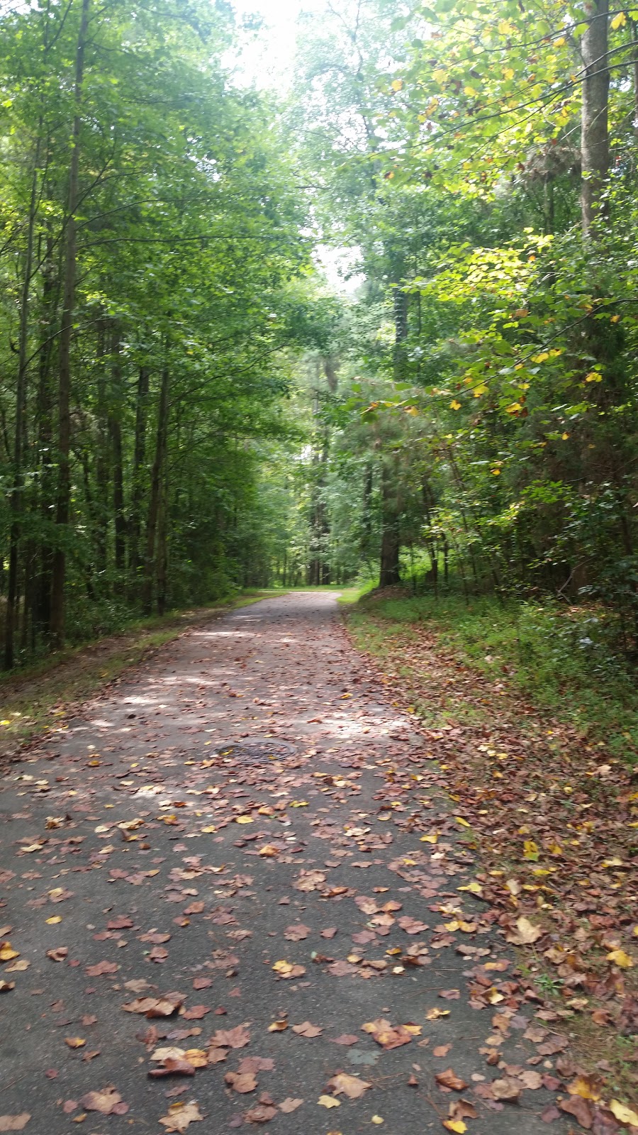 Kelly Road Park | 1609 Kelly Rd, Apex, NC 27502, USA | Phone: (919) 249-3402