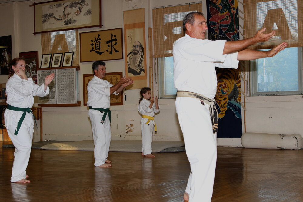 Okinawan Uechi Ryu Karate School | 1 Reid St, Amsterdam, NY 12010, USA | Phone: (518) 842-9299