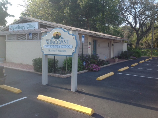 Suncoast Veterinary Clinic | 103 S St Cloud Ave, Valrico, FL 33594 | Phone: (813) 689-1228