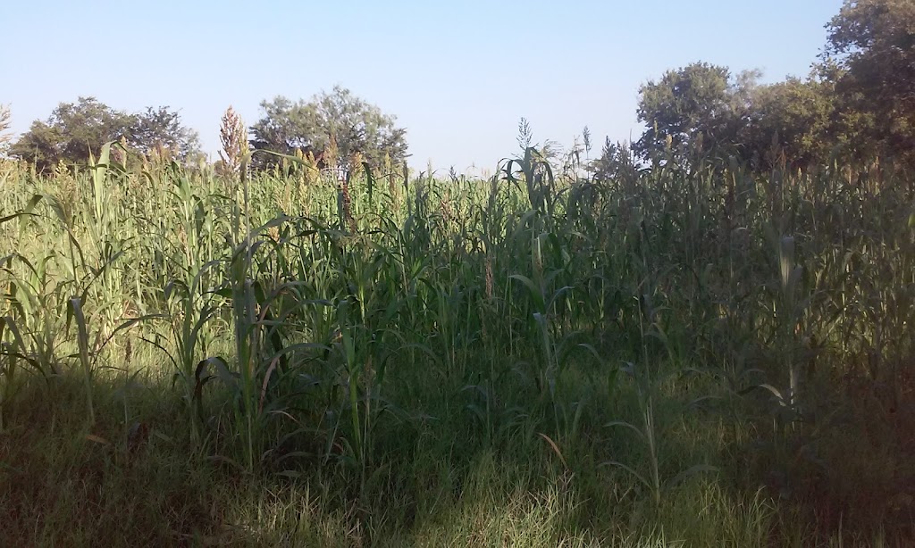 Universal Truckload Services Inc | 915 Knight St, Corsicana, TX 75110, USA | Phone: (903) 875-1855