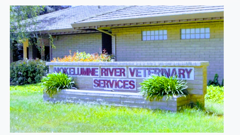 Mokelumne River Veterinary Services | 20633 Elliott Rd, Lockeford, CA 95237, USA | Phone: (209) 727-5359