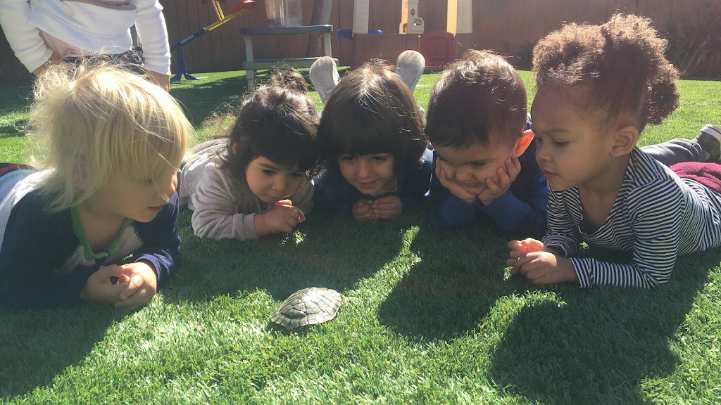 Gem Educare Daycare/Preschool | 5536 Tampa Ave, Tarzana, CA 91356, USA | Phone: (818) 858-5955