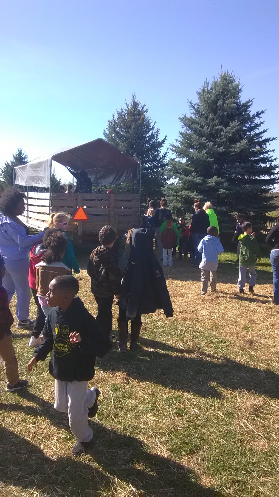 Buckeye Wheel Polishing Co | 51236 Telegraph Rd, Amherst, OH 44001, USA | Phone: (440) 653-0319