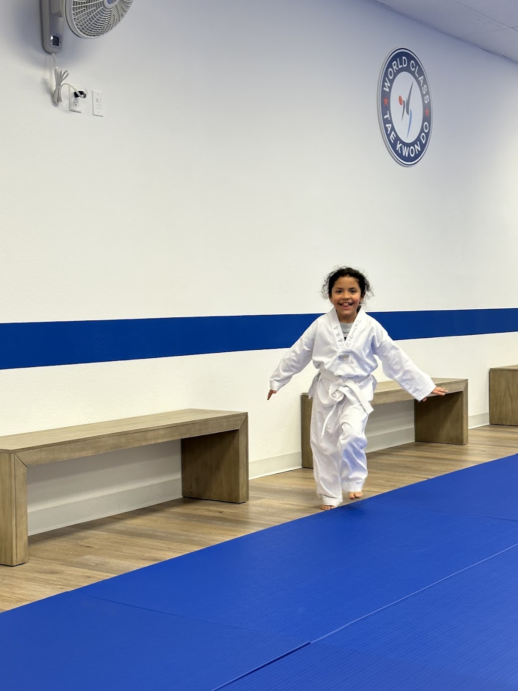 World Class Tae Kwon Do | 24142 Lyons Ave, Santa Clarita, CA 91321, USA | Phone: (661) 593-0110