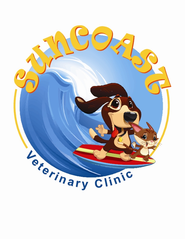 Suncoast Veterinary Clinic | 103 S St Cloud Ave, Valrico, FL 33594 | Phone: (813) 689-1228