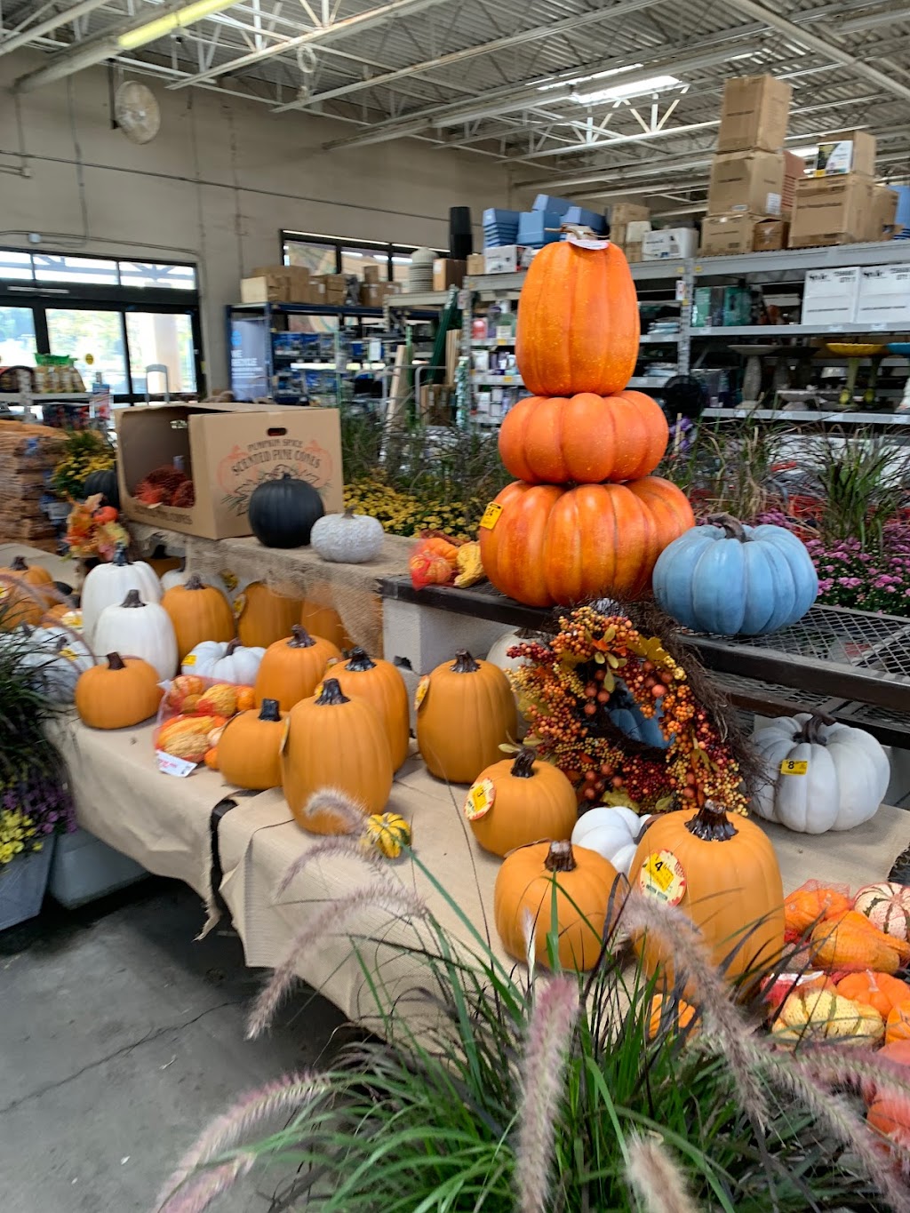 Lowes Garden Center | 13251 Peyton Dr, Chino Hills, CA 91709, USA | Phone: (909) 627-6039