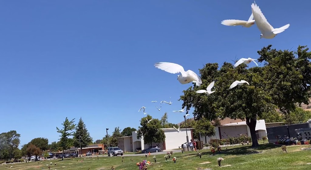 GoDoves - Professional White Dove Release | 1315 Piedmont Rd, San Jose, CA 95132, USA | Phone: (408) 622-9944