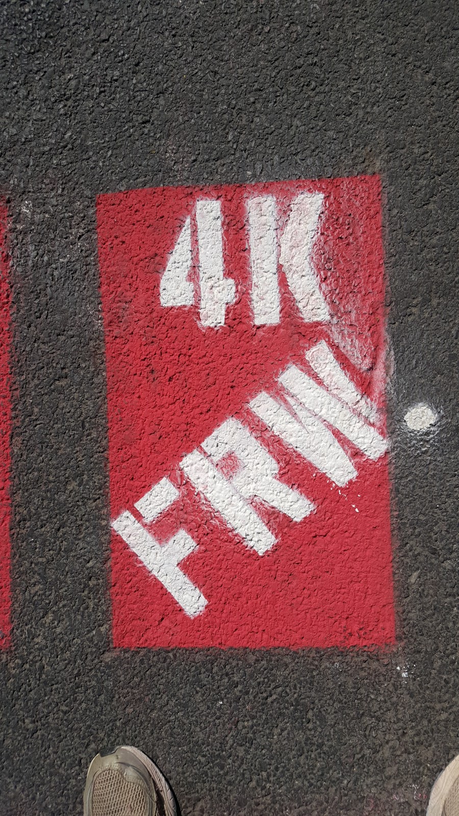 Freihofers | 78 N Manning Blvd, Albany, NY 12206, USA | Phone: (800) 984-0989