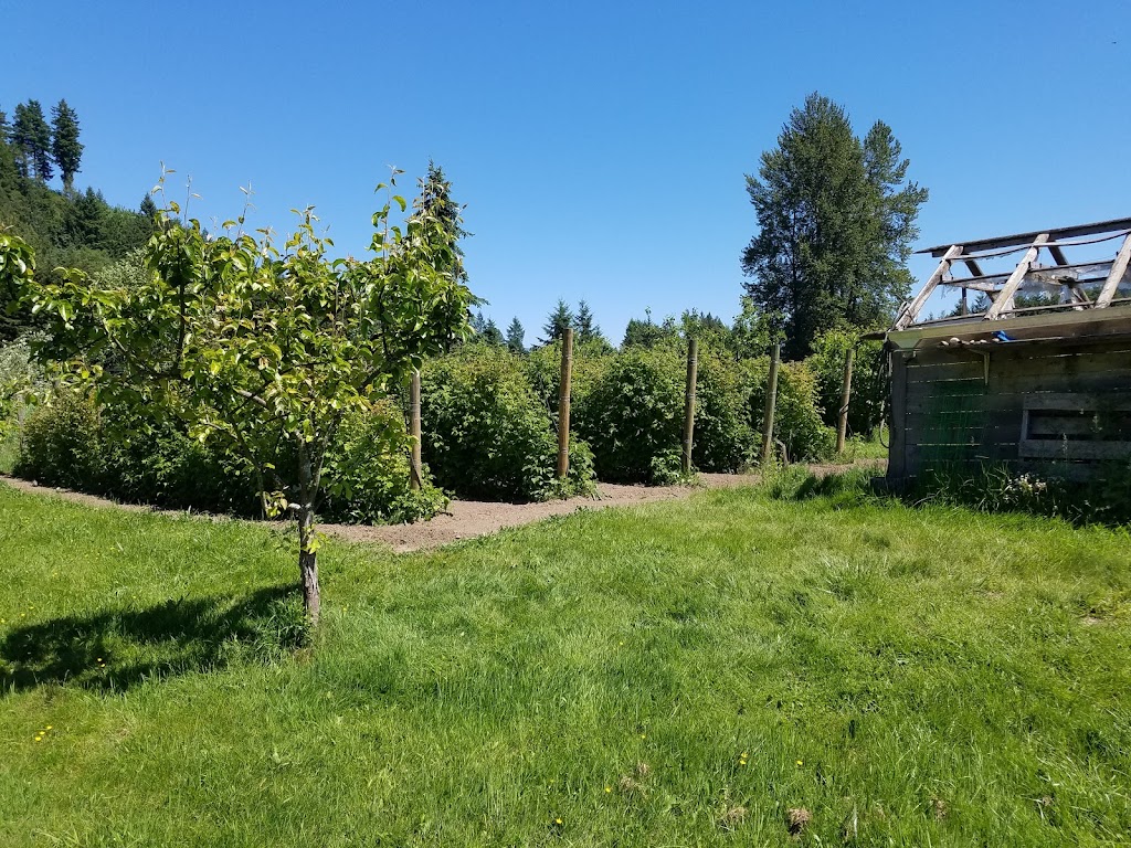 Stoney Creek Farm | 19400 SE Green Valley Rd, Auburn, WA 98092, USA | Phone: (253) 833-1703