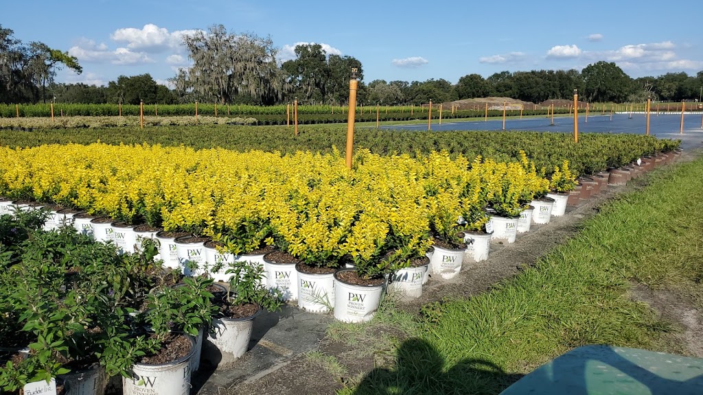 Hibernia Nursery | 1176 C 478A, Webster, FL 33597, USA | Phone: (352) 793-4423