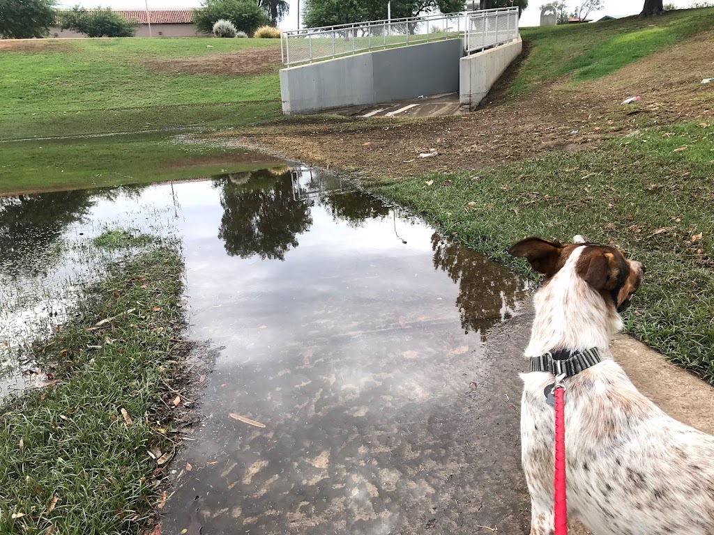 Harmony Hollow Park | 1082 W Galveston St, Chandler, AZ 85224, USA | Phone: (480) 782-2727