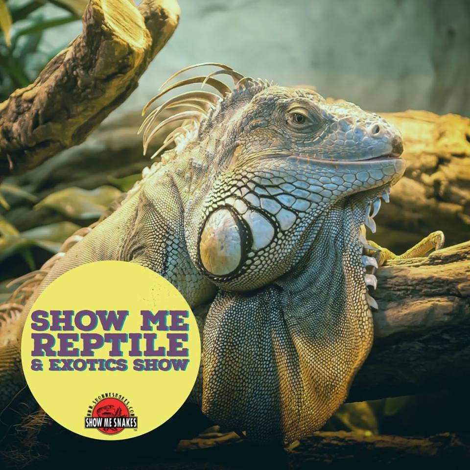 St.Louis Reptile Expo Show Me Reptile Show | 12365 St Charles Rock Rd, Bridgeton, MO 63044, USA | Phone: (636) 358-1281