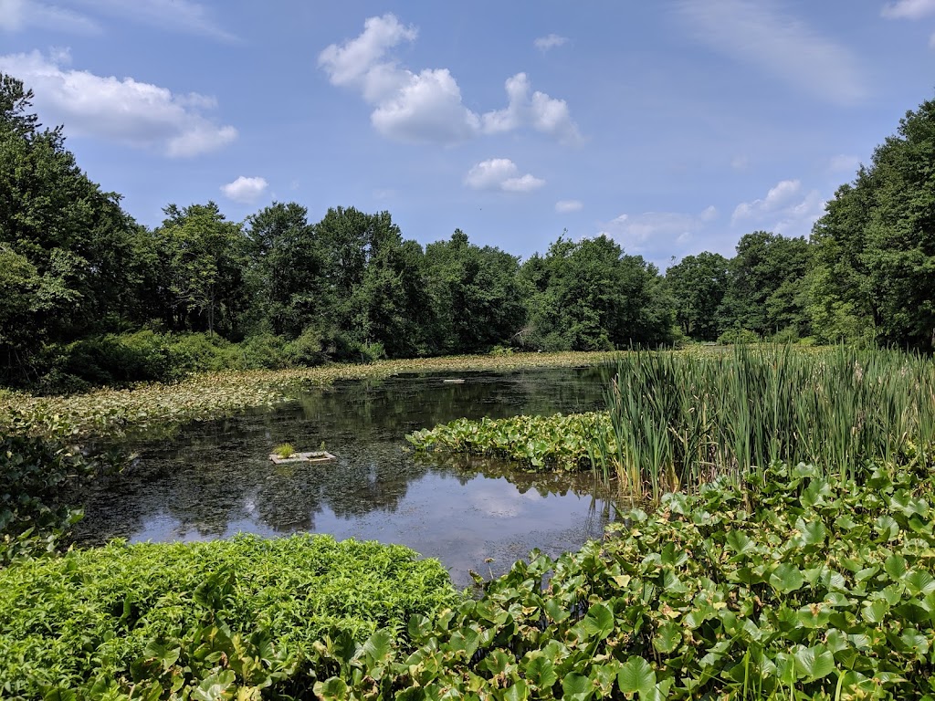 Great Swamp National Wildlife Refuge | New Vernon, NJ 07976, USA | Phone: (973) 425-1222