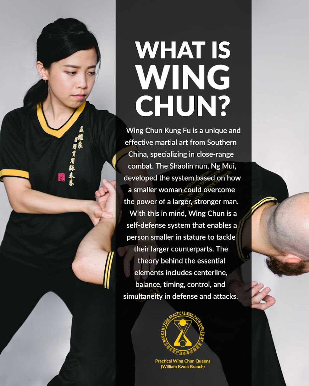 Practical Wing Chun Queens | Photo 5 of 6 | Address: 210-23 Horace Harding Expy, Queens, NY 11364, USA | Phone: (718) 635-0617